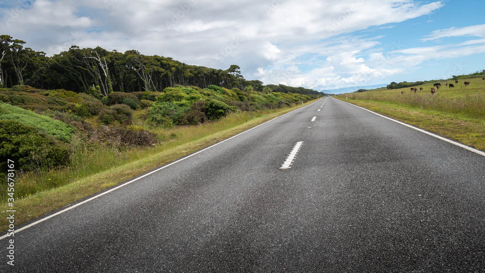 Obraz premium Road leading to the distance (tilted). Shot made during sunny day on the West Coast region of New Zealand 