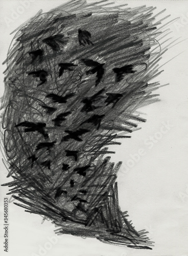 flock of black crows, cloud of black birds