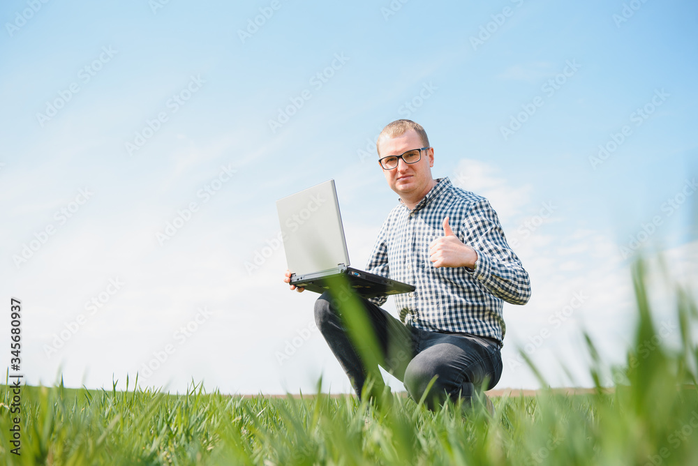 farmer standing in young wheat field examining crop and looking at laptop. farmer standing in young wheat field examining crop and looking at laptop.