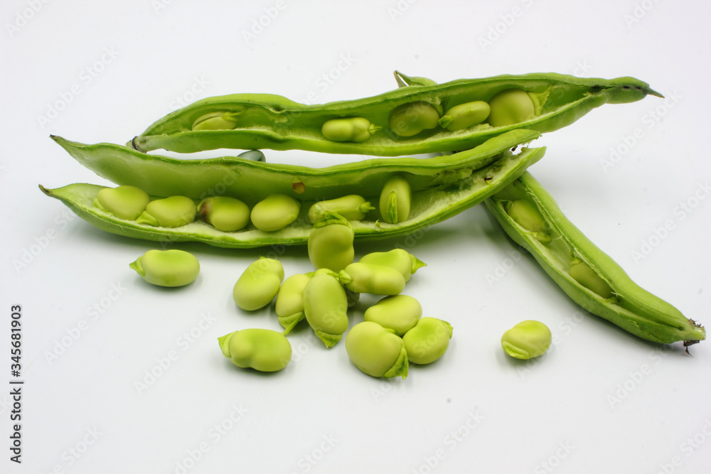 panoramic of open green broad beans in their shells and some shelled beans isolated on a white background panoramic of open green broad beans in their shells and some shelled beans isolated on a white background