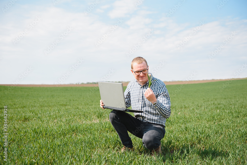 farmer standing in a wheat field and looking at laptop, are examining corp. Young handsome agronomist. Agribusiness concept. agricultural engineer standing in a wheat field farmer standing in a wheat field and looking at laptop, are examining corp. Young handsome agronomist. Agribusiness concept. agricultural engineer standing in a wheat field