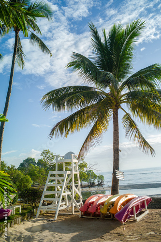 beautiful view of the landscape in the philippines with palm trees