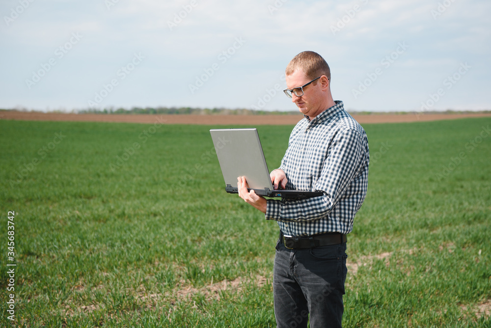 farmer standing in young wheat field examining crop and looking at laptop. farmer standing in young wheat field examining crop and looking at laptop.