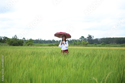 A woman standing on an umbrella in a rice field Rayong  Thailand