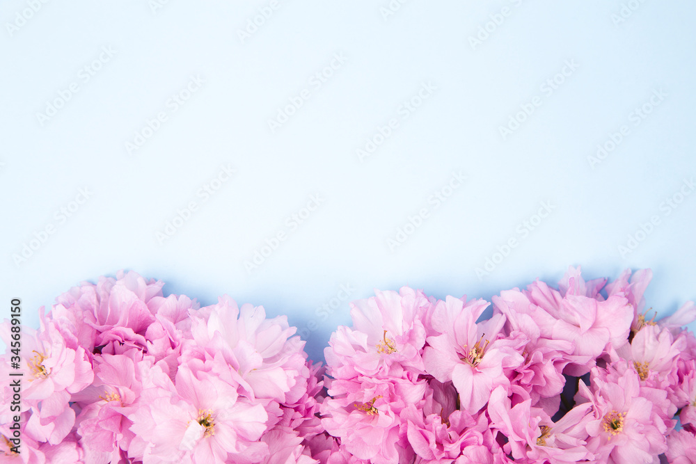 Spring nature background with lovely blossom in blue pastel color