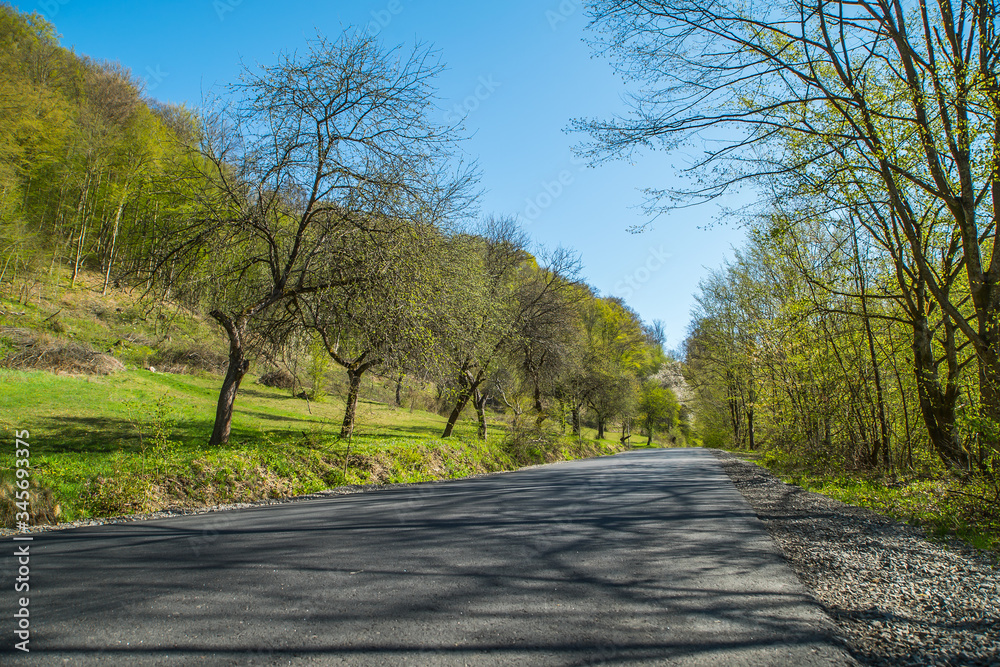 a good road leading to the forest and mountains. travel by nature. a good road leading to the forest and mountains. travel by nature.