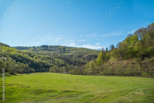 green meadow of grass on a background of forest and mountains.beautiful landscape.