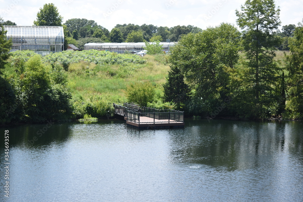 Obraz premium dock on the river