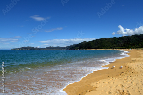 Amazing beach of Abel Tasman National Park  New Zealand.