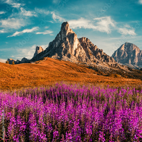 Scenic image of Dolomites Alps. Wonderful sunny Landscape. Great view on famouse Ra Gusela peak, perfect sky and pink flowers on background. Awesome alpine highlands in sunny day. stunning scenery