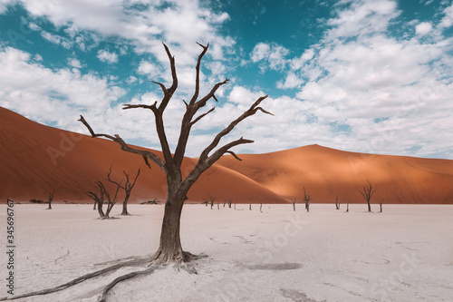 Árboles secos en el desierto de Namibia