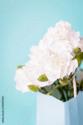 Amazing white carnation flowers in a gift bag on the aquamarine background. Copy space