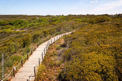 Fishermen s route in the Alentejo  promenade with cliffs in Portugal. Wooden walkway along the coastline.