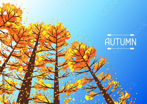 Autumn forest background with stylized trees.
