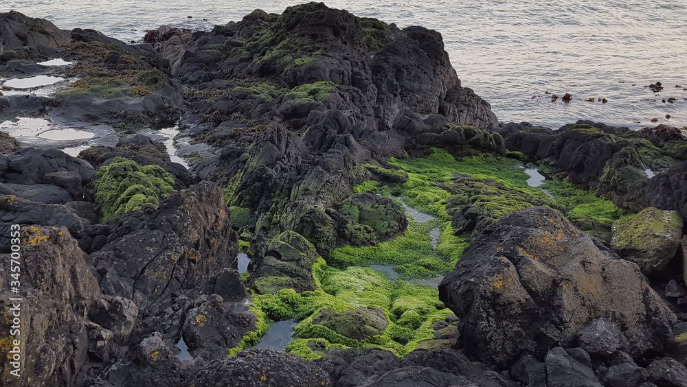 rocks on the coast, Northern Ireland, view, beautiful