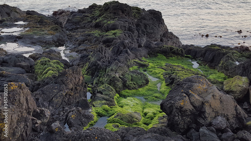 rocks on the coast, Northern Ireland, view, beautiful © Dagmara