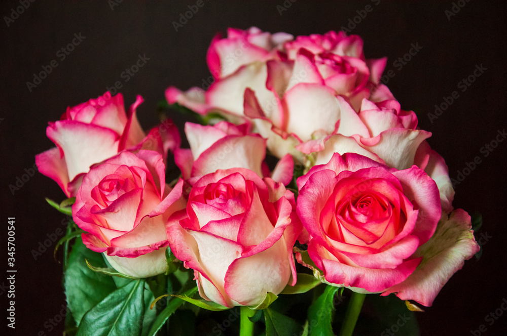 Fototapeta premium Lovely bouquet with big flowers of roses of bright pink and white color are staying on the table. Green leaves and thorns. Still life. Brown background