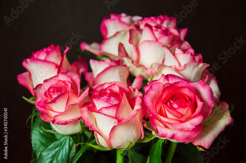 Lovely bouquet with big flowers of roses of bright pink and white color are staying on the table. Green leaves and thorns. Still life. Brown  background