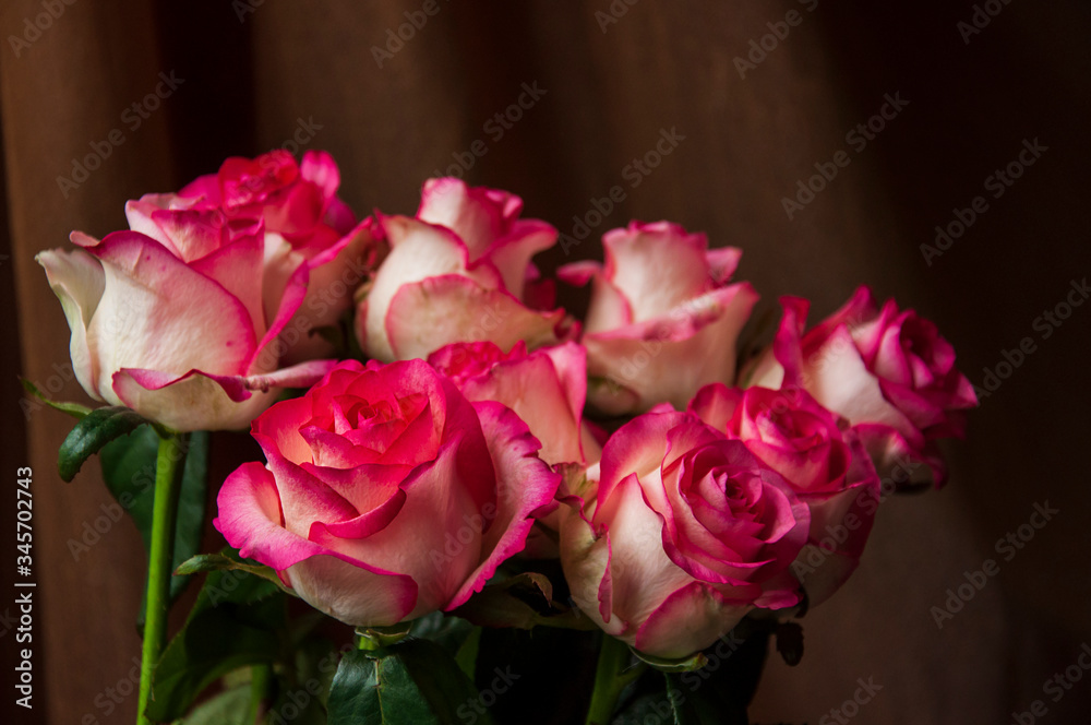 Fototapeta premium Lovely bouquet with big flowers of roses of bright pink and white color are staying on the table. Green leaves and thorns. Still life. Brown background