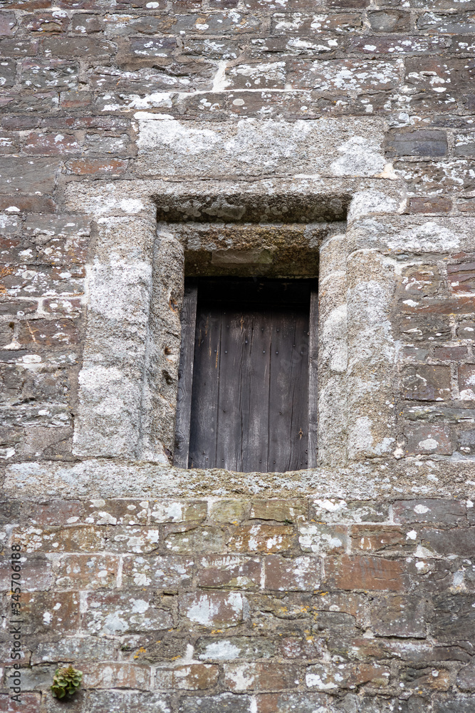 wooden door in old wall