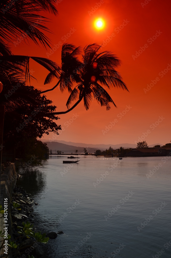Palmy nad wybrzeżem w Tajlandii