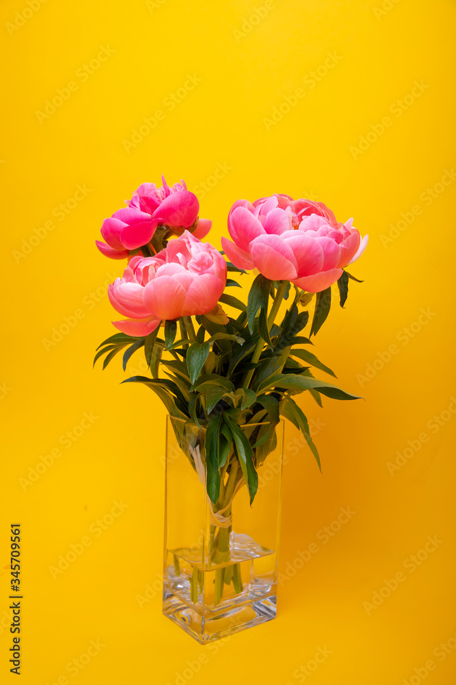 flowers flowers