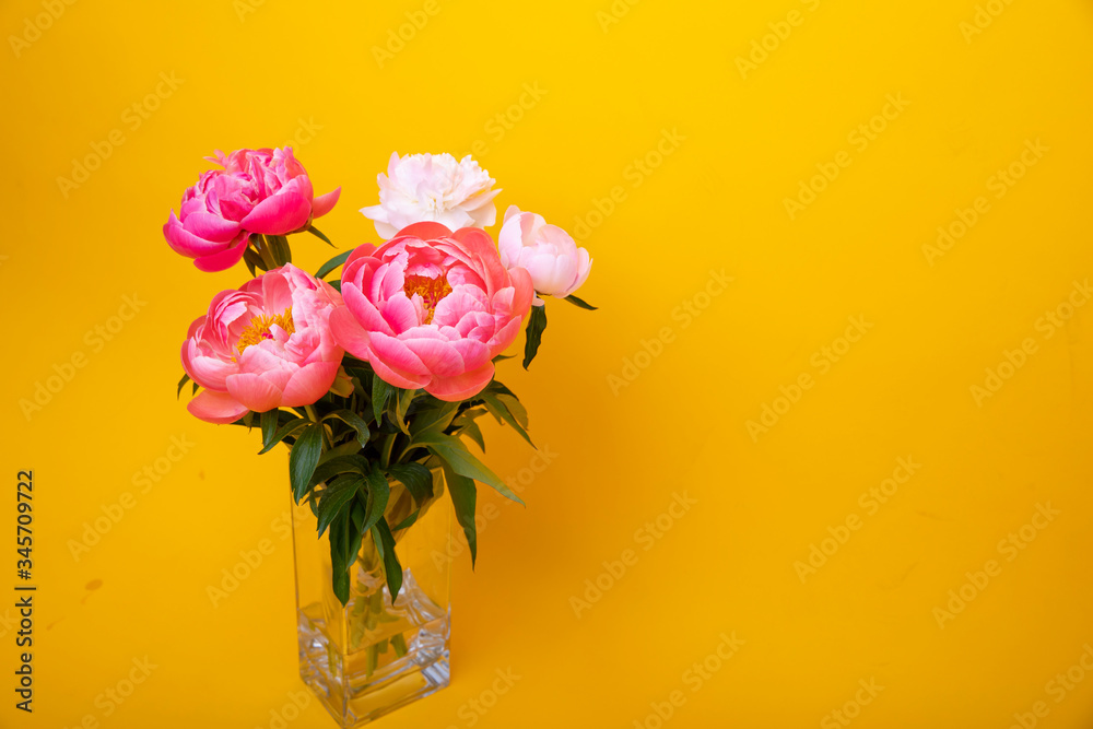 Obraz premium flowers