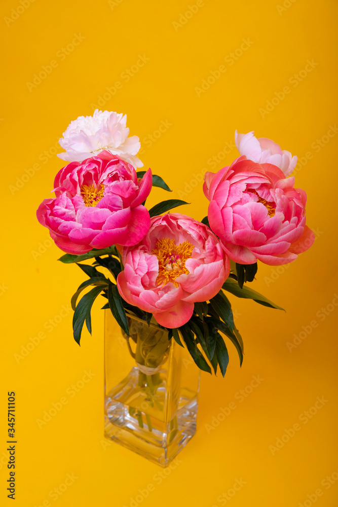 Fototapeta premium Flowers