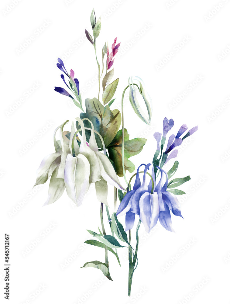 Summer Bouquet with Columbine Flowers. Watercolor Illustration. 