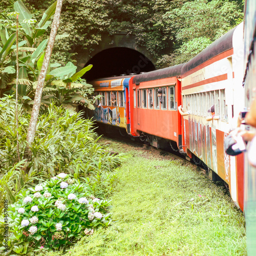 Pessoas viajando em um trem com vagões coloridos no meio da floresta. Maria fumaça em trilhos antigos no meio da vegetação.