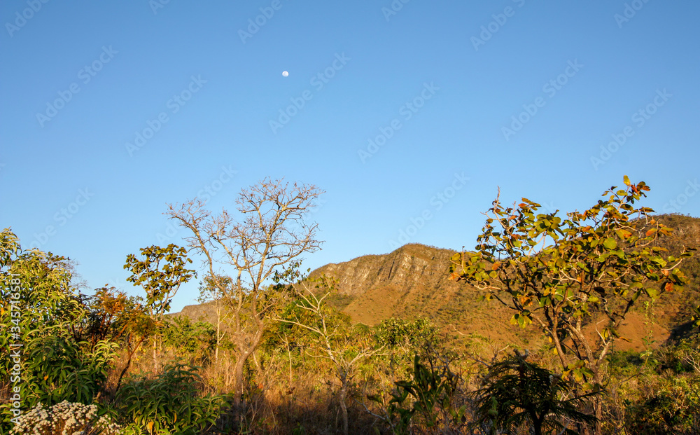 Paisagem típica do cerrado brasileiro, com a lua e o Morro da Baleia ao fundo.