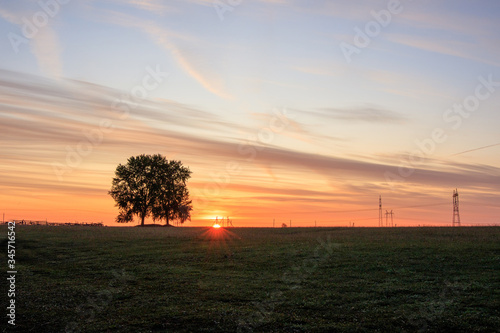 Fototapeta Naklejka Na Ścianę i Meble -  tree against the background of the dawn sky in the distance supports electric