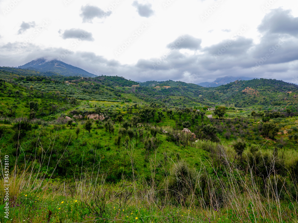 Mountain landscape and vegetation along Road SP27 in Ogliastra, Sardinia, Italy