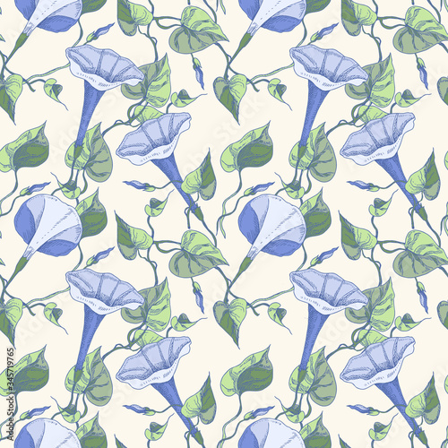 Bindweed Flowers Seamless Pattern. Hand Drawn Floral Background.