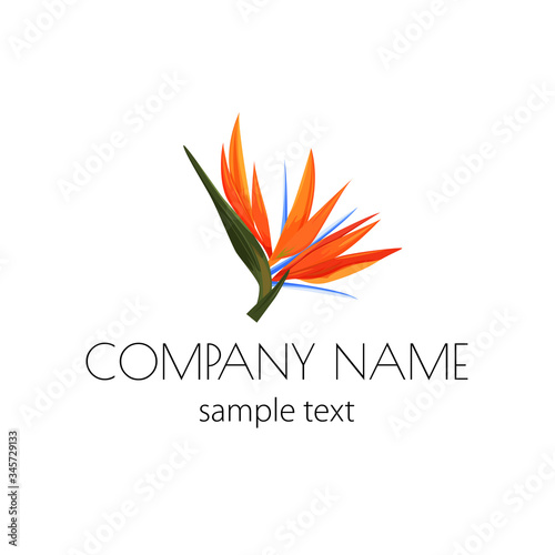 Vector logo with strelizia. Simple sign for flower shop, organic shop, restaurant with bird of paradise flower.