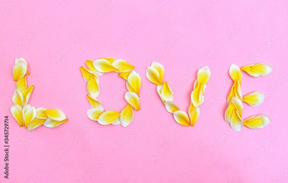 Love Word Written with Plumeria Flowers Petals Isolated on Pink Background, Perfect for Wallpaper