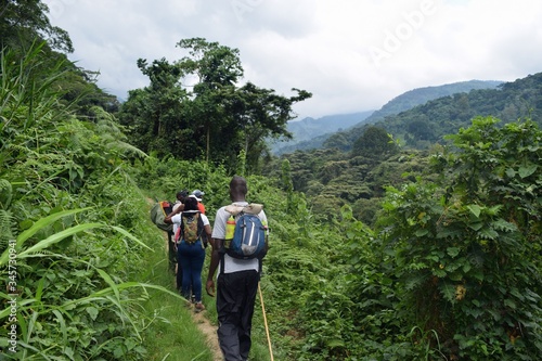A group of hikers in the panoramic mountain landscapes in rural Uganda  Rwenzori Mountains National Park  Uganda 