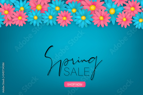 Spring sale banner or brochure. Blue and pink realistic daisy flowers. Floral design wallpaper. Vector illustration.