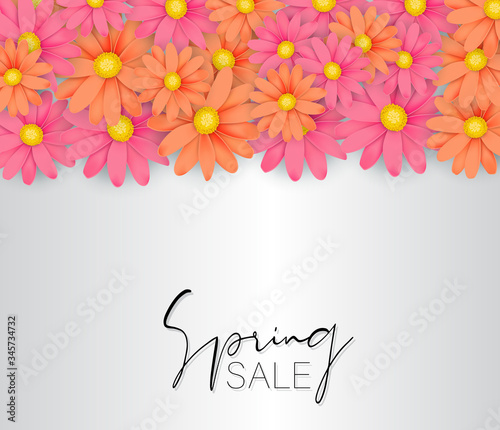Spring sale banner or poster. Pink and orange daisies or gerbera flowers. Floral design concept. Vector illustration.