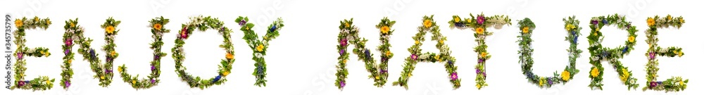 Flower, Branches And Blossom Letter Building English Word Enjoy Nature. White Isolated Background