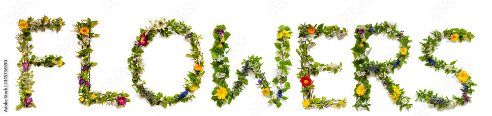 Flower, Branches And Blossom Letter Building English Word Flowers. White Isolated Background