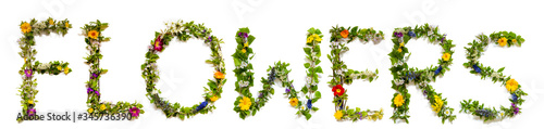 Flower, Branches And Blossom Letter Building English Word Flowers. White Isolated Background