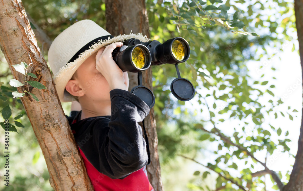 Niño explorador con sombrero y binoculares arriba de un árbol Stock Photo