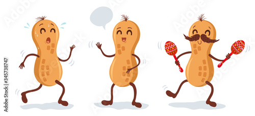 Vector cartoons of peanut.