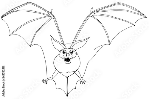 A bat with large wings. Drawing for coloring