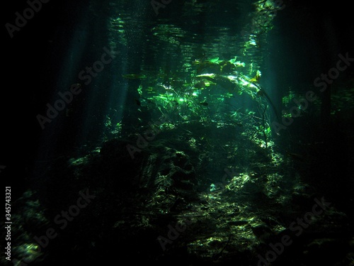 Cenote, underwater landscape, Yucatan Peninsula of Mexico, underwater photograph 