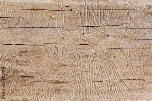 close up texture of light wood with cracks