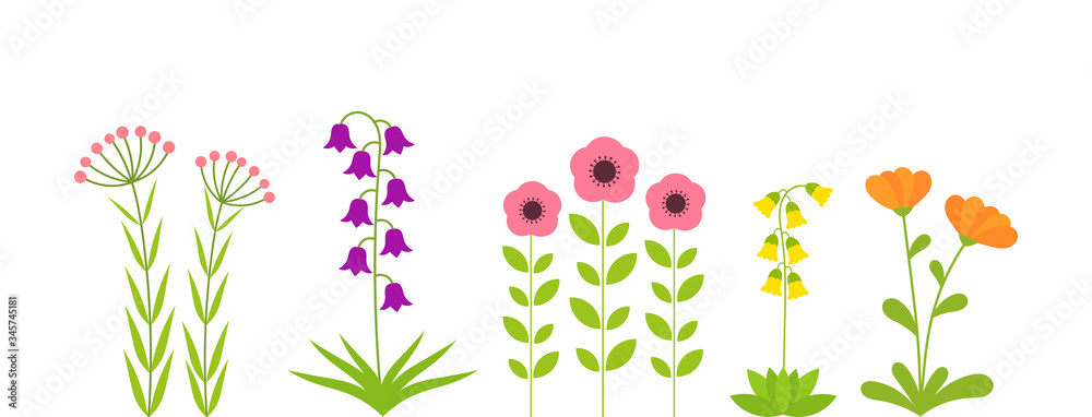 Spring flowers plants set. Spring flowers plants set.