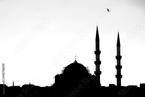 Photography blue mosque istanbul