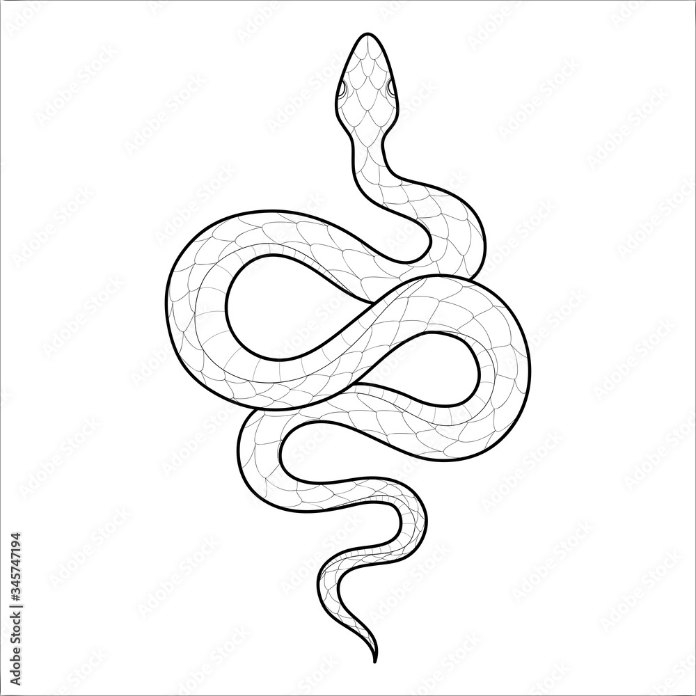 Hand drawing outline snake. Tattoo snake for Henna drawing and ...